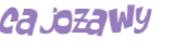 Desafio Captcha