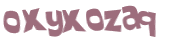 CAPTCHA 挑戰
