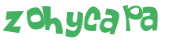 CAPTCHA 挑戰