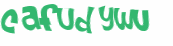 Desafio Captcha