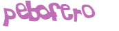 Sfida captcha