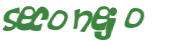 Desafio captcha