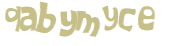 CAPTCHA 挑戰