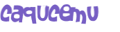 CAPTCHA 挑戰