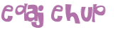 Desafio captcha