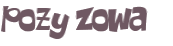 Wyzwanie captcha