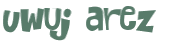 CAPTCHA 挑戰