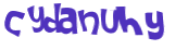 CAPTCHA 挑戰