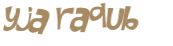 Desafio captcha