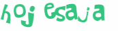 Captcha 챌린지