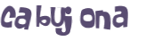 CAPTCHA 挑戰