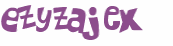 Wyzwanie captcha