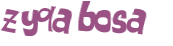 Captcha 챌린지