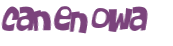 CAPTCHA 挑戰