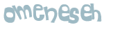 CAPTCHA 挑戰
