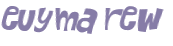 CAPTCHA 挑戰