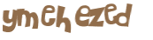 Captcha 챌린지