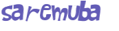 CAPTCHA 挑戰