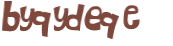 CAPTCHA 挑戰