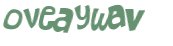 CAPTCHA 挑戰