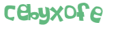 Captcha-Test