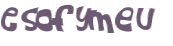 CAPTCHA 挑戰