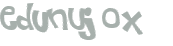CAPTCHA 挑戰