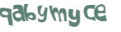 CAPTCHA 挑戰