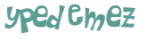 CAPTCHA 挑戰