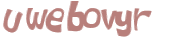 Captcha 챌린지