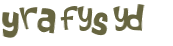 CAPTCHA 挑戰