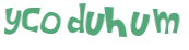 Captcha-Test