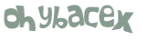 CAPTCHA 挑戰