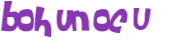 CAPTCHA 挑戰
