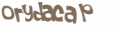 Desafio Captcha