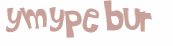 Captcha 챌린지