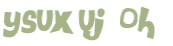 Wyzwanie captcha