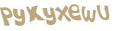 CAPTCHA 挑戰