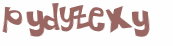 Captcha 챌린지