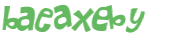 Captcha 챌린지