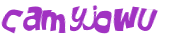 Captcha-test