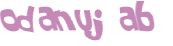 Captcha 챌린지