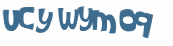 Captcha-Test