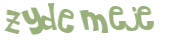 Wyzwanie captcha