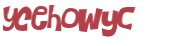 Wyzwanie captcha