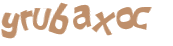 CAPTCHA 挑戰