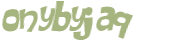 CAPTCHA 挑戰