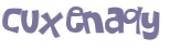 CAPTCHA 挑戰