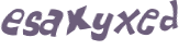 CAPTCHA 挑戰
