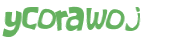 Wyzwanie captcha